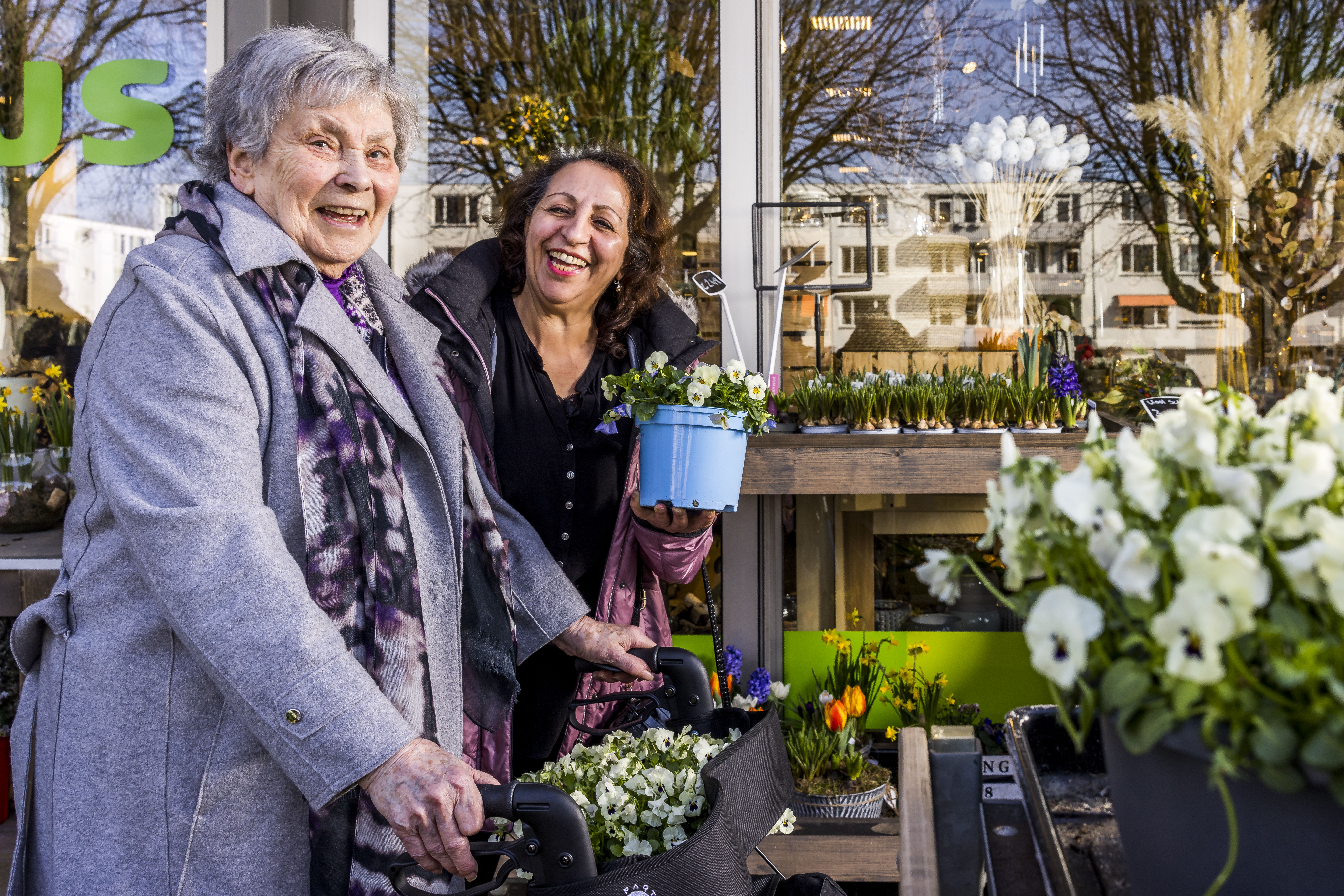 Envida Wilders Saida